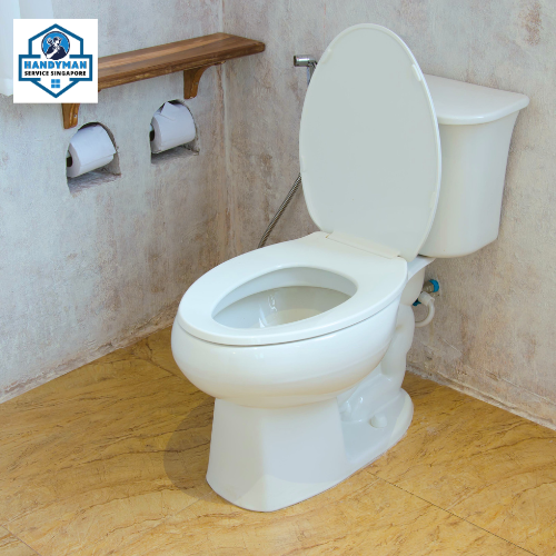 Reliable Toilet Flush Repair and Replacement Services in Singapore